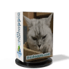 HUNTING CAT SCALPER EA