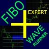 fibopluswaverunner onshoppiejpg