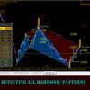 Shepherd Harmonic Pattern