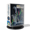 King Robot V6.11 EA MT4 For Build 1420+_onshoppie