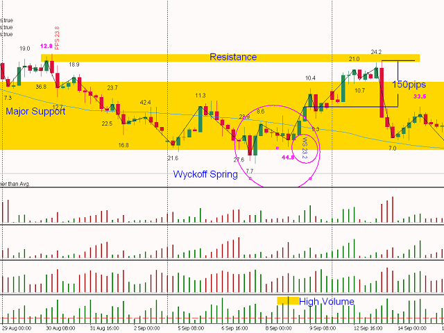 Weis Wave Indicator