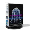 City Money X Pro EA For XAUUSD