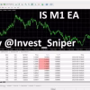 IS M1 EA