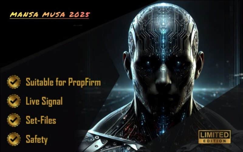 Mansa Mussa Robot