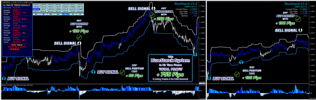 BlueStarck Trading System