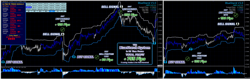 BlueStarck Trading System