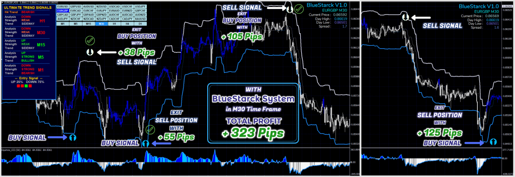 BlueStarck Trading System