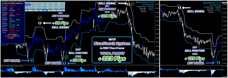 BlueStarck Trading System