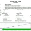 Monopolist Metatrader4 EA