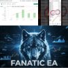 FANATIC EA