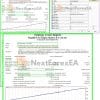 RapidFX EA