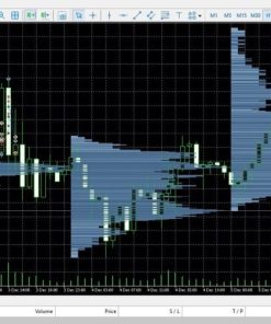 Invictus Strategy