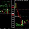 The King Hedging Forex EA