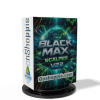 Black Max SCALPER EA