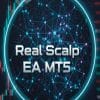 Real Scalp EA