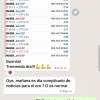 Robot De Oro Mr Y EA