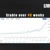 Adaptive Gold Scalper EA 3 OnShoppie Adaptive Gold Scalper EA