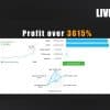 Adaptive Gold Scalper EA 4 OnShoppie Adaptive Gold Scalper EA