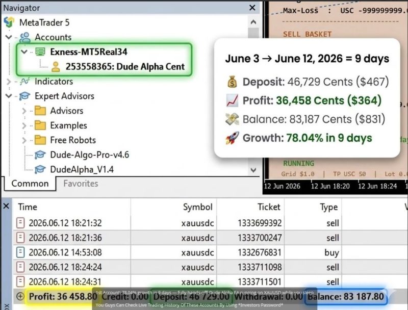 DudeAlphaGoldEAMT5UnlimitedSetFilesresults21052x800 OnShoppie MT5 trading screen with account Exness MT5Real34 selected a summary panel shows 9 day performance Deposit 467$ Profit 364$ Balance 831$ Growth 7804