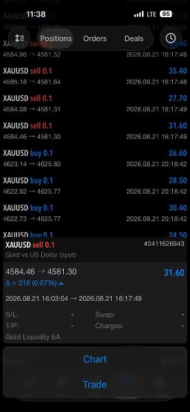 goldliquidityv2screen7158preview OnShoppie Gold Liquidity EA