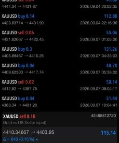 Osok Gold Killer EA MT5